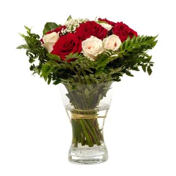 Roses in vase Foto stock