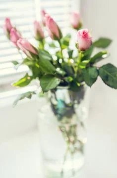 Roses in vase on window Foto stock