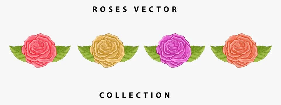 Roses vector collection. hand drawn watercolor roses. roses vector design Stock Illustration