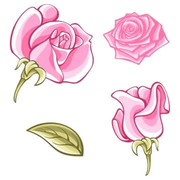 Roses vector collection Stock Illustration
