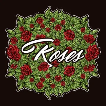 Roses vector illustration Stock Illustration