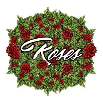 Roses vector illustration in white background Stock Illustration