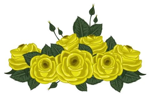 Roses vector illustration on white Stock Illustration
