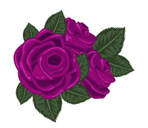 Roses vector illustration on white Stock Illustration