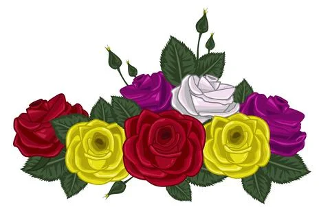 Roses vector illustration on white Stock Illustration