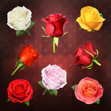 Roses, vector set on dark background Stock Illustration