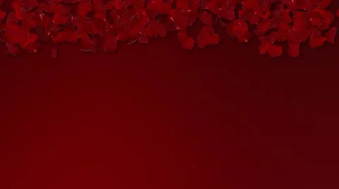 Roses wall 1 Vidéo 11685909