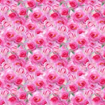 Roses wall Stock Photos
