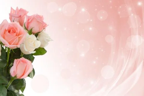 Roses to wedding day Stock Photos