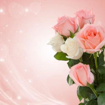 Roses to wedding day Foto stock
