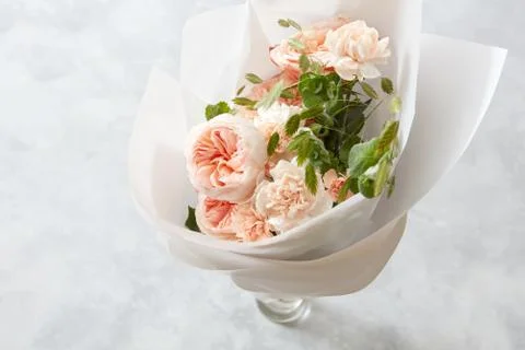 Roses on white background Stock-Fotos