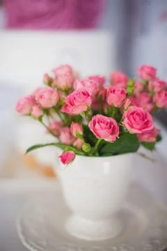 A roses is in a white cup 스톡 사진