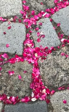 Rosestone Stock Photos