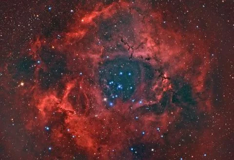 Rosette nebula Illustrazione stock