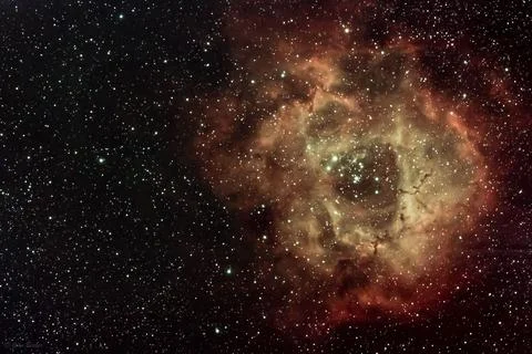 Rosette Nebula surrounded by stars Stock Illustration