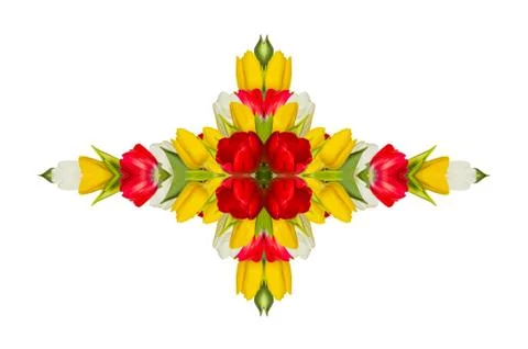 Rosette of tulips Stock Photos