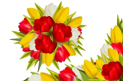 Rosette of tulips Stock Photos