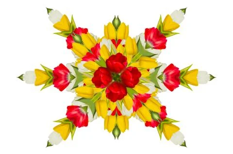 Rosette of tulips Stock Photos