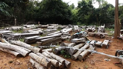 Rosewood industry Stock Footage