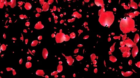 Rosie Stock Footage 102383130