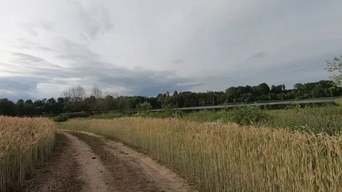 Rositsa lake Video stock 143202632