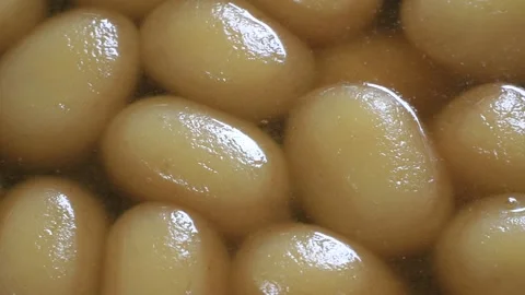 Rosogolla Sweet Stock Footage 173433186