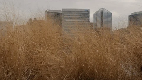 Rosslyn Virginia Stock Footage 85668526