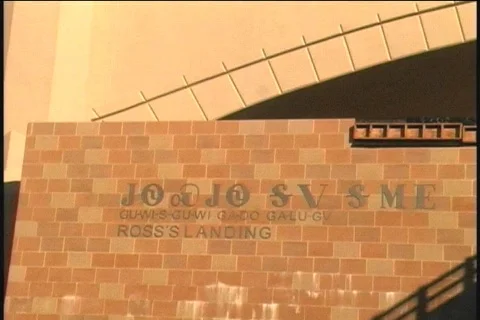 Ross's-Landing 库存影片 125571