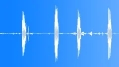 Roster crowing on farm, seamless Sound Effect