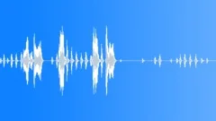 Roster crowing on farm Sound Effect