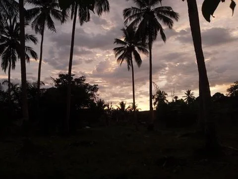 Rosy Dusk Stock Photos
