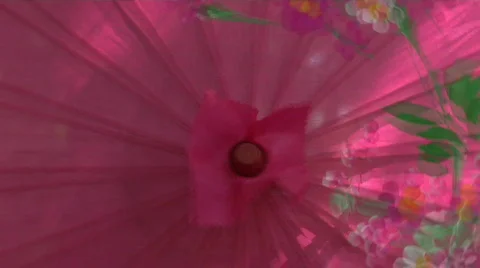 Rosy top of parasol twirled round, motion blur  Stock Footage 242536