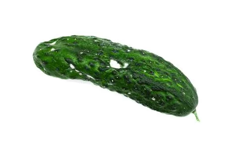 Rot cucumber Stock Photos