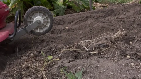 Rotary Hoe at work Stock Footage 71069118