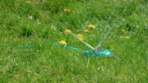 Rotary sprinkler spraying steady streams across fresh grass surface in bright 库存影片 337418237