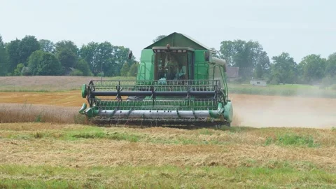Rotary straw walker cut and threshes ripe wheat grain. Combine harvesters Stock Footage 155127854