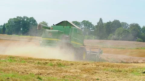 Rotary straw walker cut and threshes ripe wheat grain. Combine harvesters Stock Footage 155127921