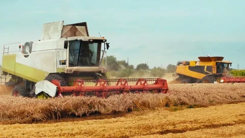 Rotary straw walker cut and threshes ripe wheat grain. Man in combine harvesters Stock Footage 157152243
