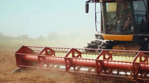 Rotary straw walker cut and threshes ripe wheat grain. Man in combine harvesters Stock Footage 157289547