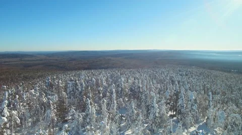 Rotate the camera from the horizon to the winter forest below 스톡 동영상 60650228