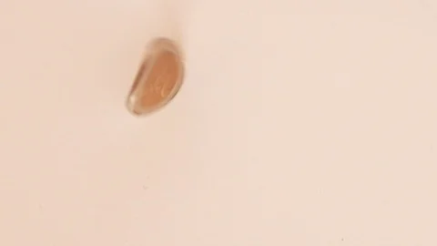 A rotate coin like a rotary Stock Footage 118013255