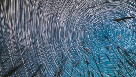Young Stars Background Stock Videos – Royalty-Free HD & 4K Videos