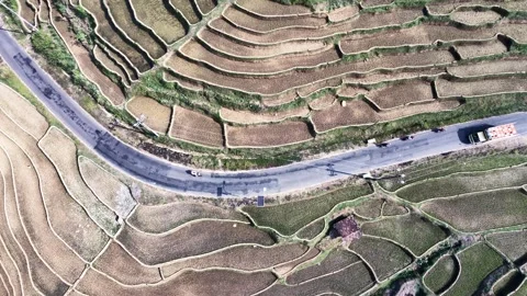 Rotate Top-Down Aerial View Of A Curved Road Through Geometric Terraced Rice Video stock 346808694