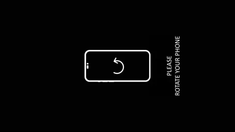 Rotate Your Phone Stock Footage 219720545