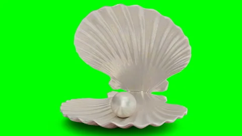 Rotated pearl inside sea shell isolated on a green background. Jewelry pearl Stock Footage 113336865