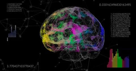 Rotating 360 low polygonal brain 3D model on black background with animated n イラスト素材