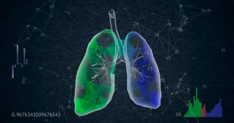 Rotating 360 low polygonal lungs 3D model on black background with animated Stock Footage 128536332
