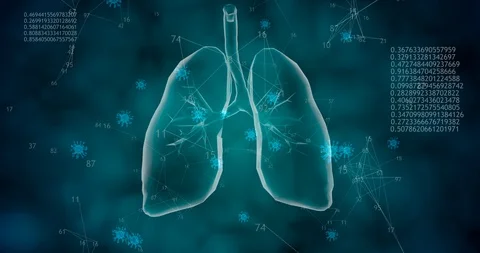 Rotating 360 low polygonal lungs 3D model with coronavirus cells and animated Stock Footage 128761329