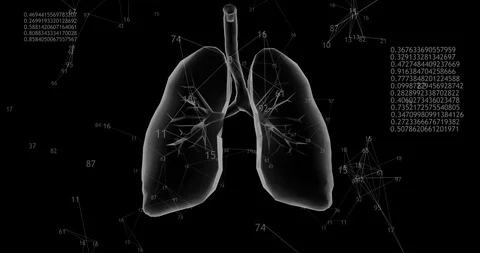 Rotating 360 low polygonal lungs 3D model on black background with animated Video stock 129739980