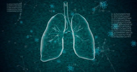 Rotating 360 low polygonal lungs 3D model with coronavirus cells and animated Stock Footage 129741353